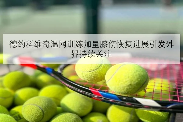 德约科维奇温网训练加量膝伤恢复进展引发外界持续关注